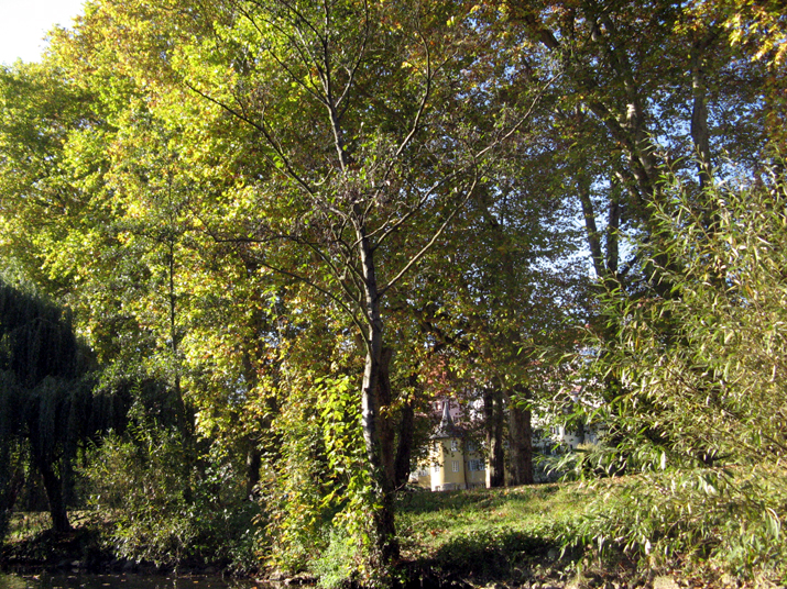 2007-10 Tubingen 070.jpg